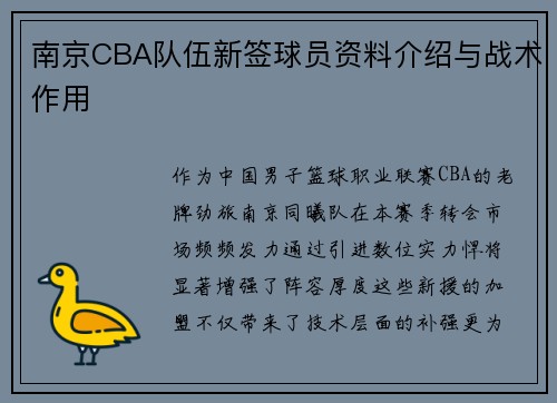 南京CBA队伍新签球员资料介绍与战术作用